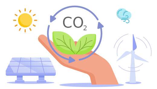 Neutralização de Carbono (Redd+)